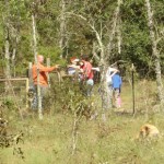 Back corner of fenced area